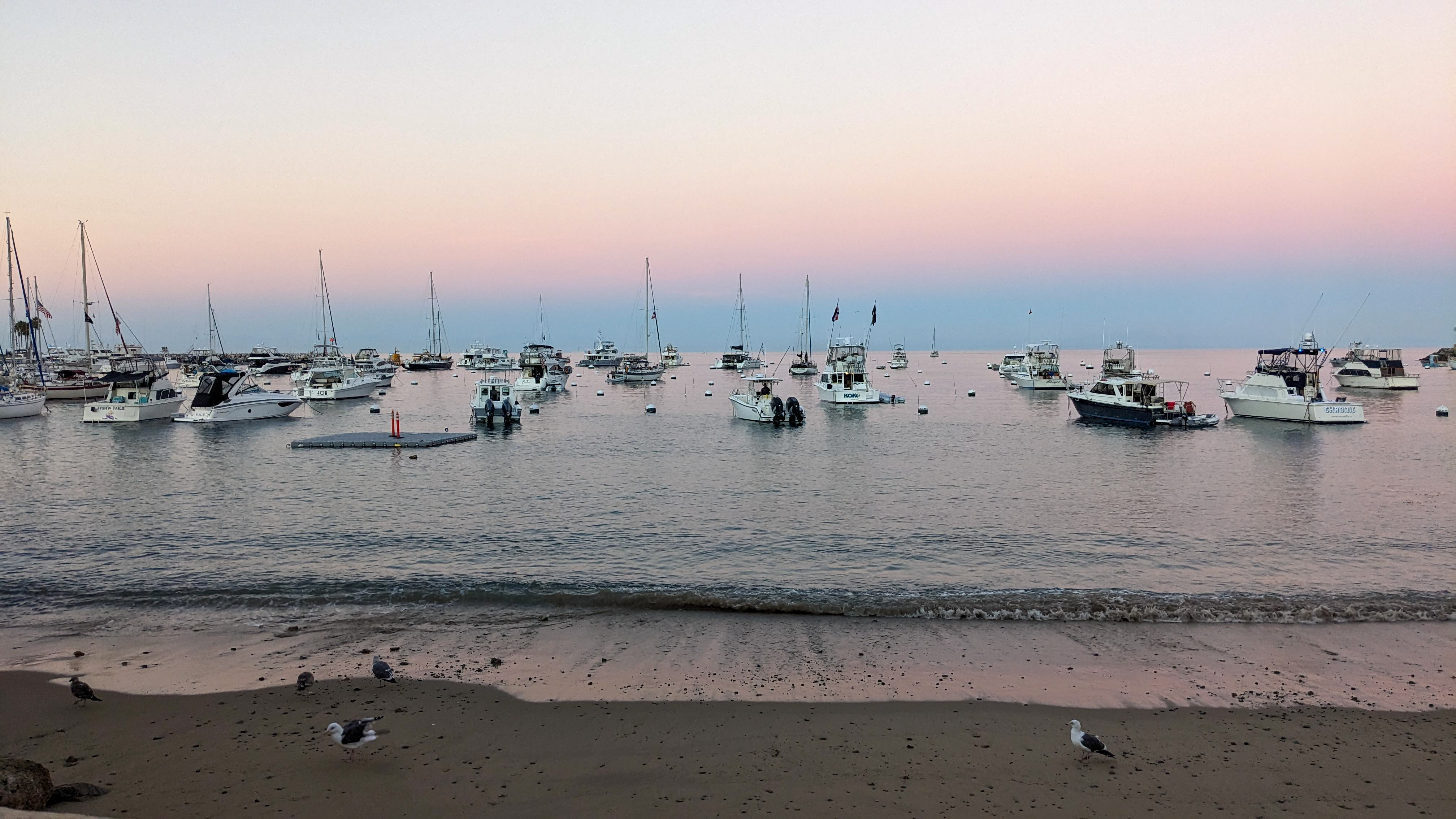 A row of ships offshore from a sandy beach