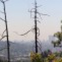 Panoramas of Los Angeles in July 2012