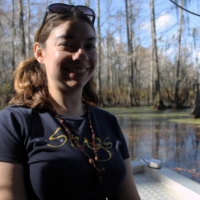 New Orleans’ Adventures: Honey Island Swamp Touring