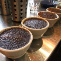 Counter Culture Coffee Cupping
