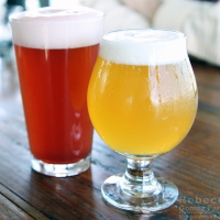 4 Beer Gardens in the East Bay with Extra Bang for Your Buck - Localwise Post